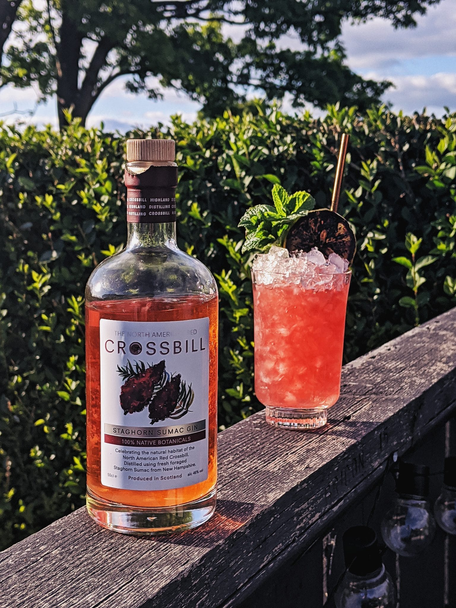 Crossbill Staghorn Sumac Gin Limited Edition Buy Britain